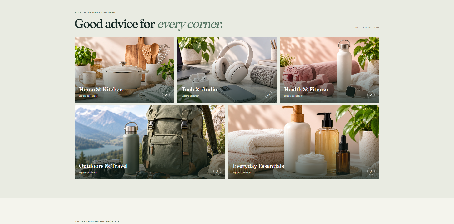 Viral Nest Home project screenshot